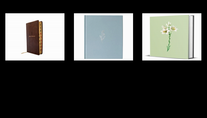 As 10 Melhores biblia nvi de 2024: As Mais Recomendadas